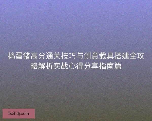 捣蛋猪高分通关技巧与创意载具搭建全攻略解析实战心得分享指南篇