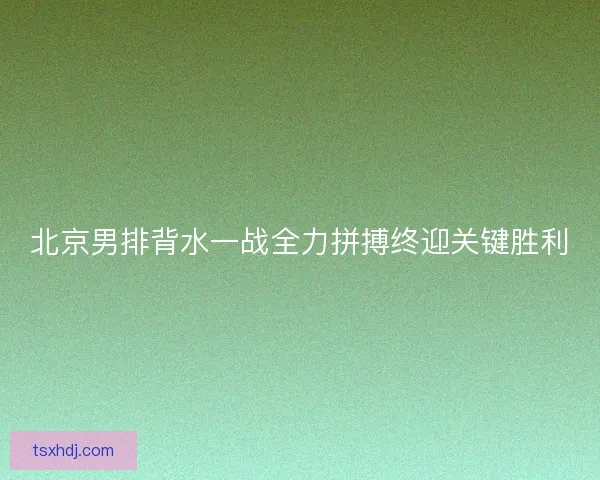 北京男排背水一战全力拼搏终迎关键胜利