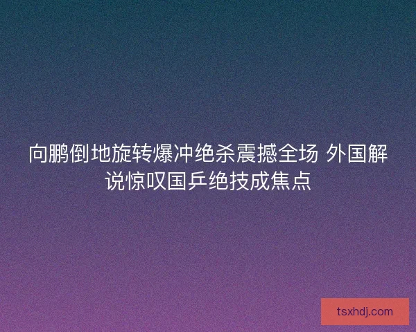 向鹏倒地旋转爆冲绝杀震撼全场 外国解说惊叹国乒绝技成焦点